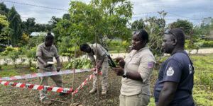 World War II Era Weapons Still Threatening Lives and Development in the Solomon Islands
