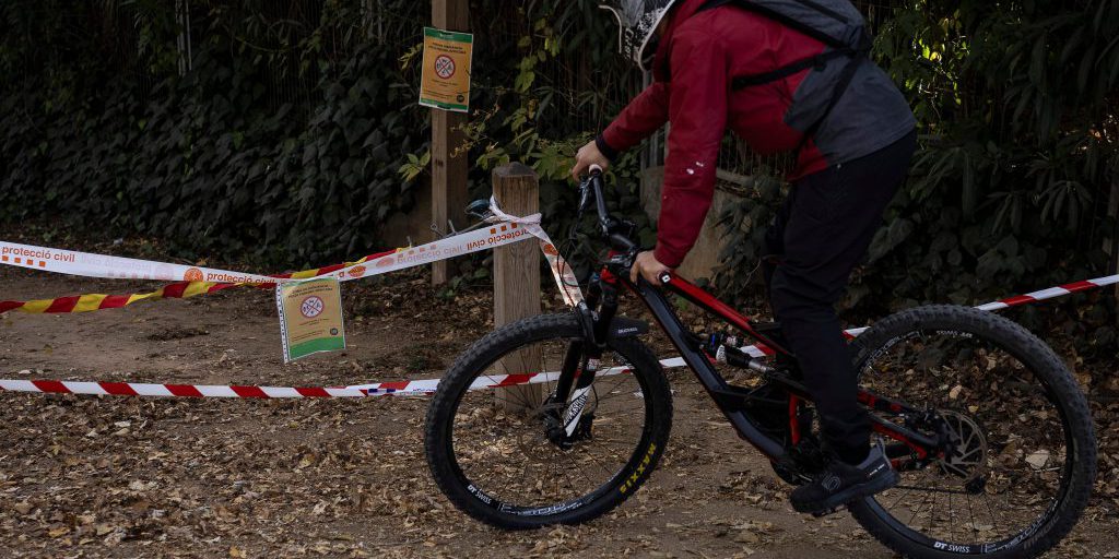 Governo catalano chiude Collserola per catturare cinghiali infetti dalla peste suina africana