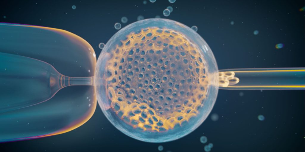 Ricerca scopre varianti genetiche che aumentano il rischio di aborto spontaneo