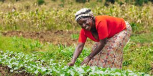 From Reforestation to Low-Emission Food, Climate Action Starts with Seeds