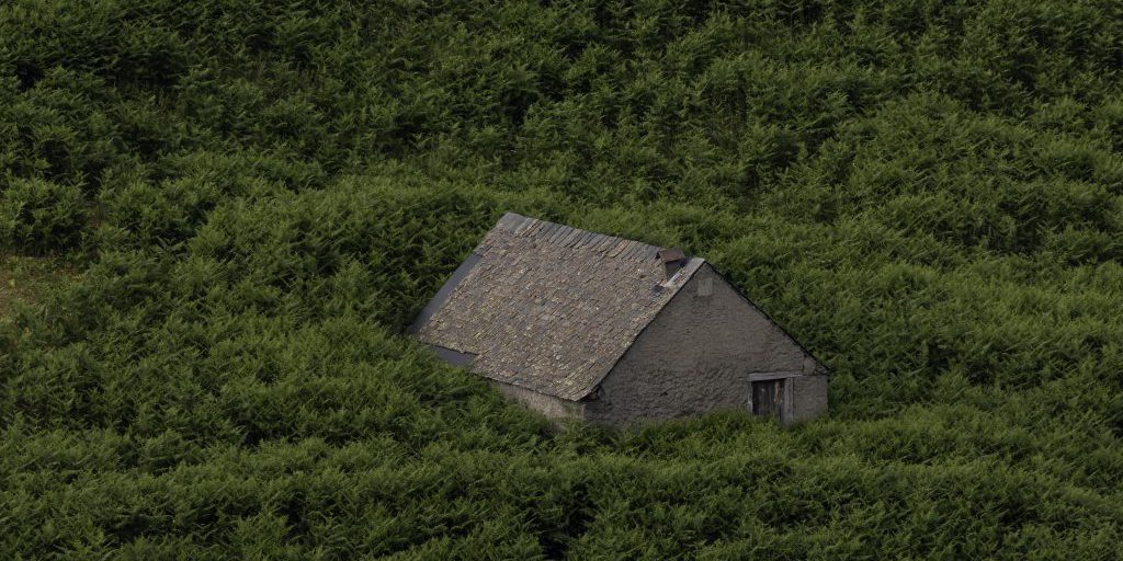 Natura fosca: analisi accademica di Solitud di Elvira Prado‑Fabregat