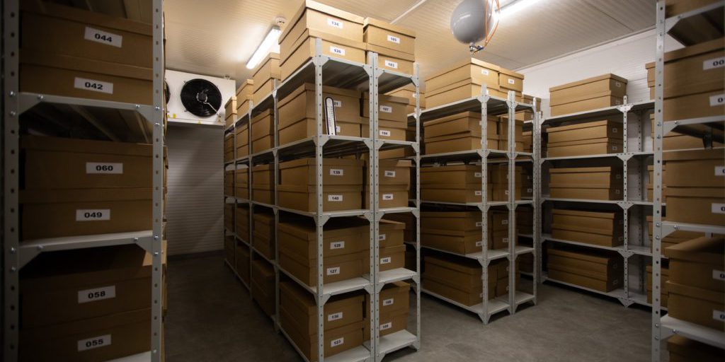 Il banco di semi ucraino: un tesoro nascosto per la sicurezza alimentare