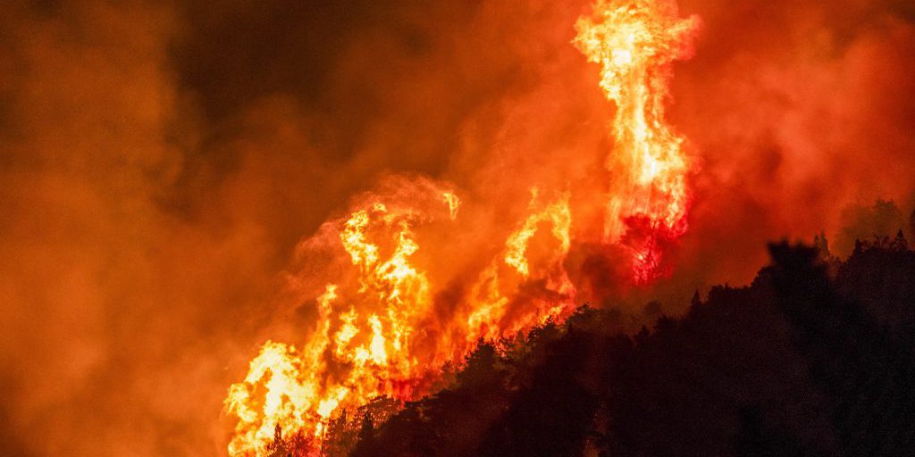 Incendi in Patagonia argentina distruggono foreste e evacuano migliaia di turisti