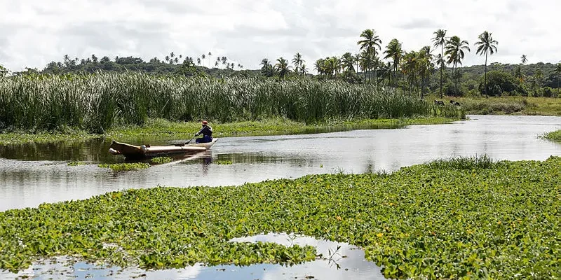 Decisione storica del Superior Tribunal de Justiça: un passo avanti verso la responsabilità della Tronox per l'inquinamento a Areias