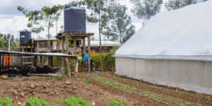 La Tanzania Affronta la Realta' della Siccita' e dei Cambiamenti Climatici: Una Storia di Resilienza e Speranza