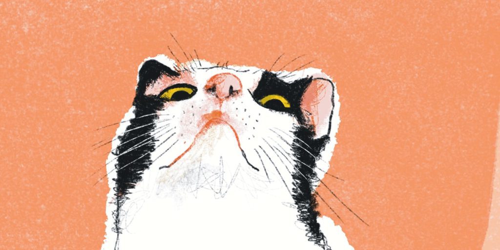 Scegliere il libro perfetto per i bambini: 7 titoli consigliati con età, prezzo e copertina