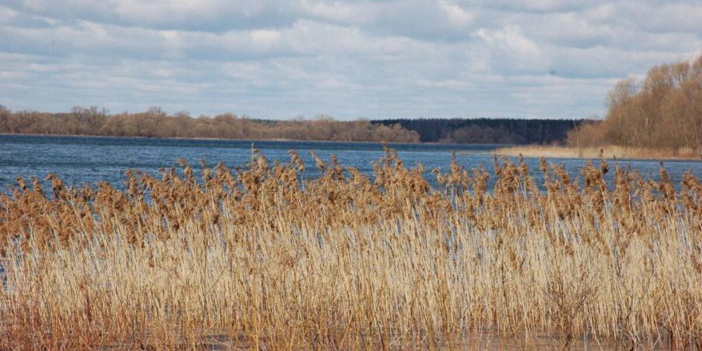 "Начинается период предзимья": погода на всей территории России переходит в зимний режим