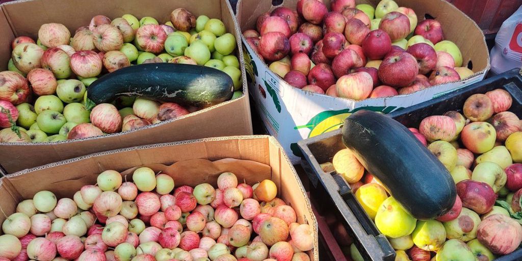 Il Giardino Zoologico di Lipetsk: Una Tradizione di Condivisione e Sostenibilità per il Benessere degli Animali