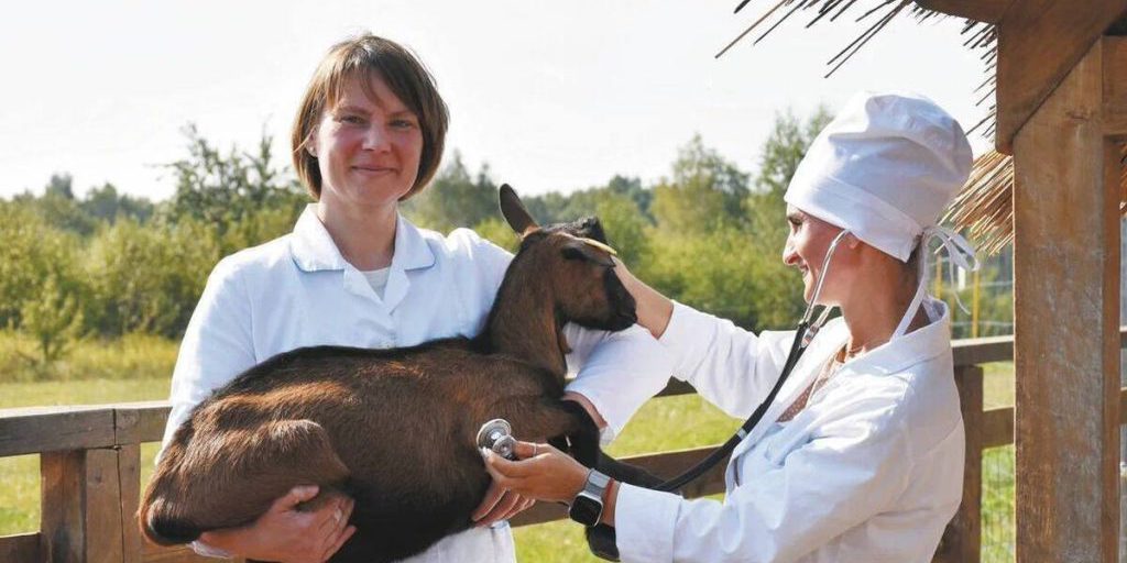 Губернатор Алексей Беспрозванных поздравил аграриев с профессиональным праздником