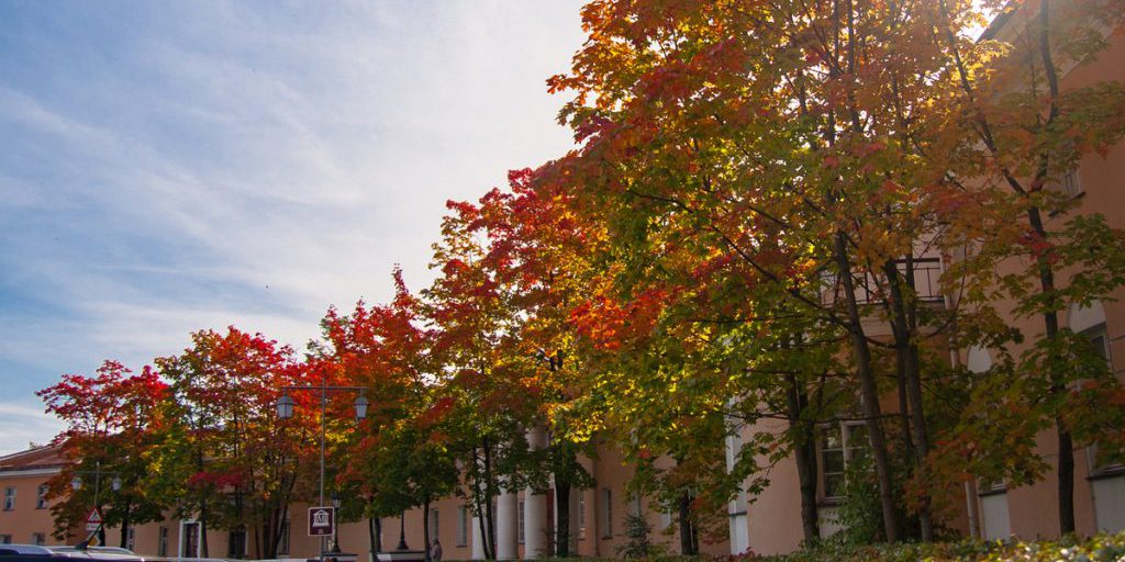 "Previsioni meteo per la Carelia: temperature e clima della settimana in arrivo"