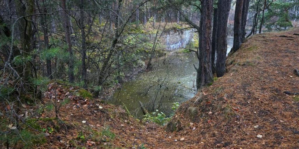 Суббота на Южном Урале может быть дождливой