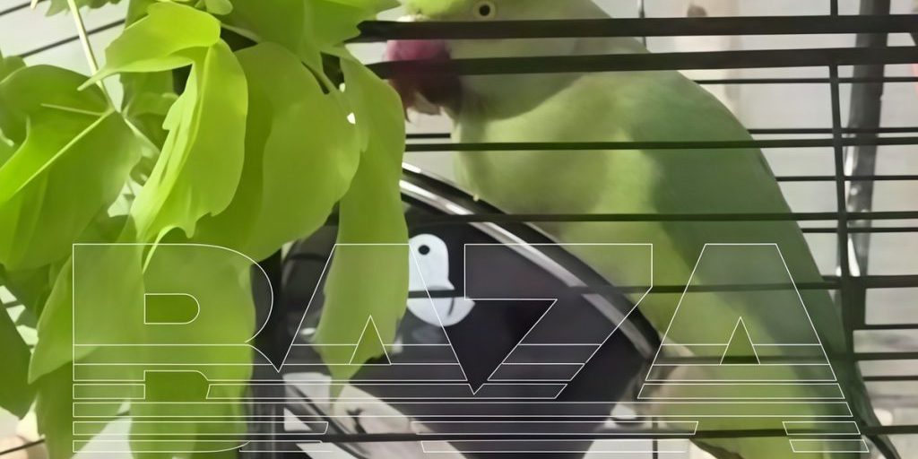 В Твери попугай Гиря получил «моральное потрясение» из-за плохого капремонта