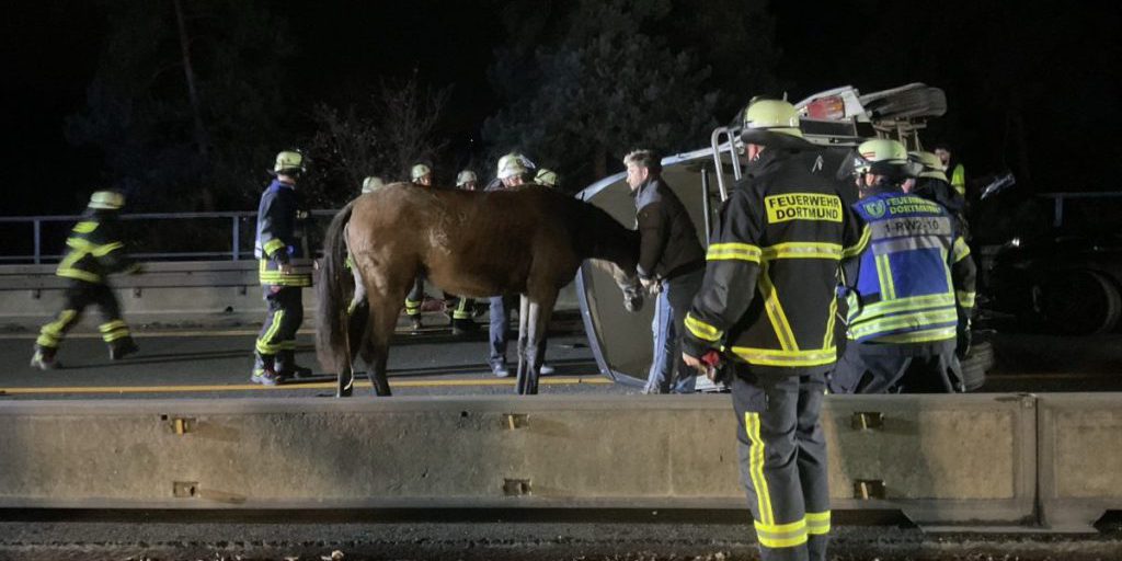 Incidente sulla A45 vicino a Dortmund: bambino ferito e cavallo caduto dal rimorchio