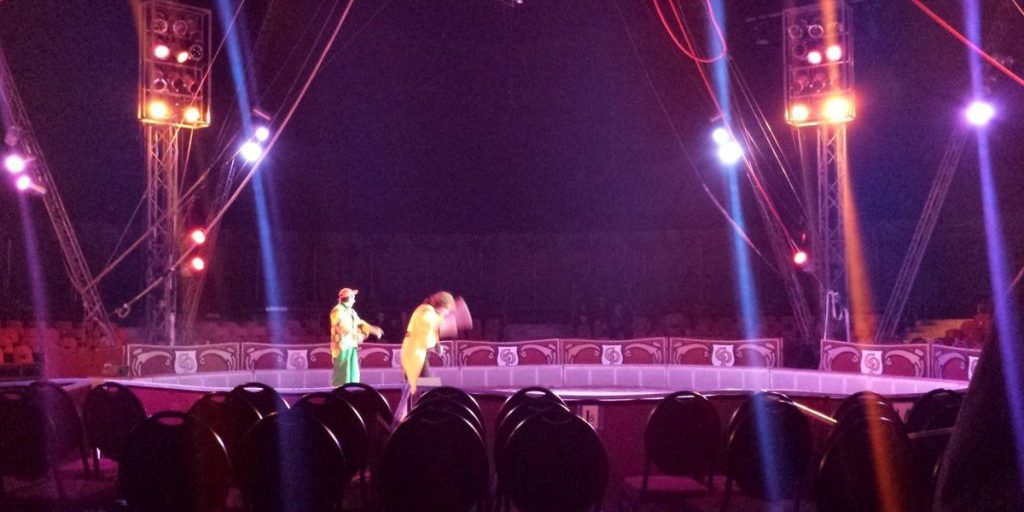 Луганский госцирк отреставрируют на средства от новой цирковой программы