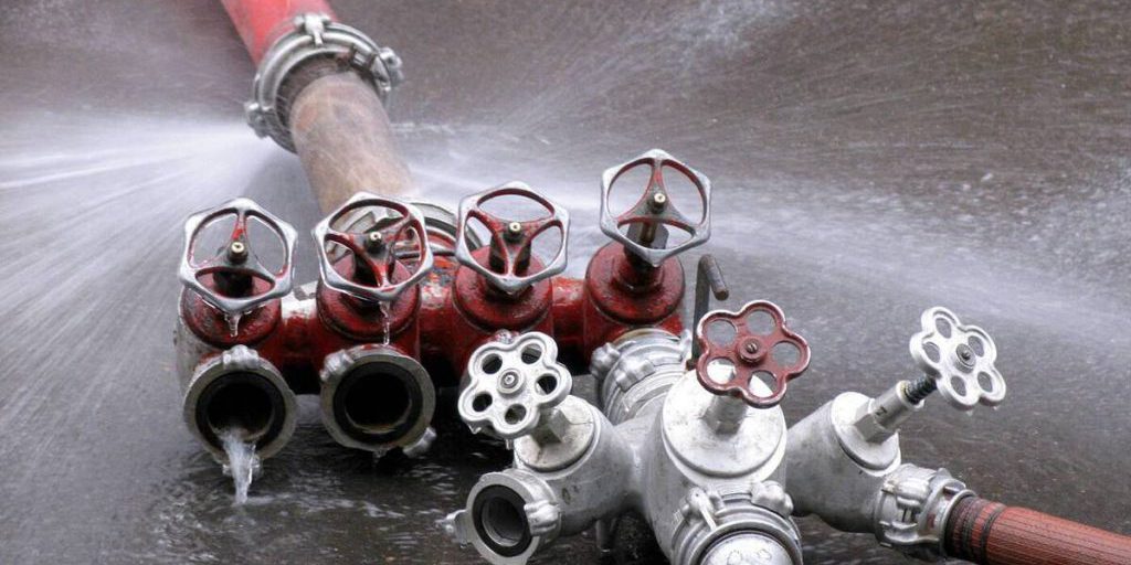 Tragedia allo zoo di Novosibirsk: incendio devastante causa la morte di oltre 10 animali