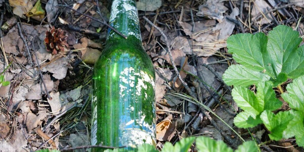 Добровольцы очистили более 150 стоянок от мусора в Ленобласти