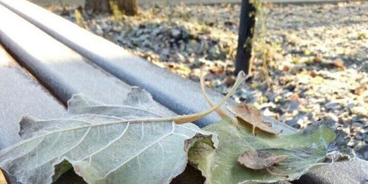 В конце недели Воронеж накроют заморозки