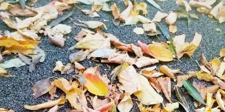 Cambio di Stagione in Russia: il Brusco Calo delle Temperature nella Regione di Kostroma