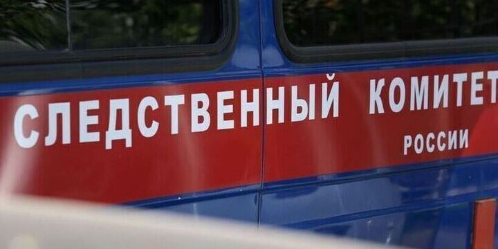 Бастрыкин поручил возбудить дело из-за нападения на девушку в Краснодаре