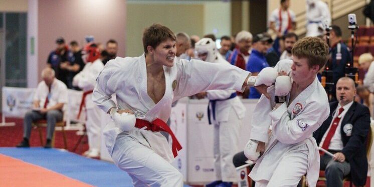 Более 25 стран выступят на ЧМ и первенстве мира по всестилевому каратэ в Чувашии