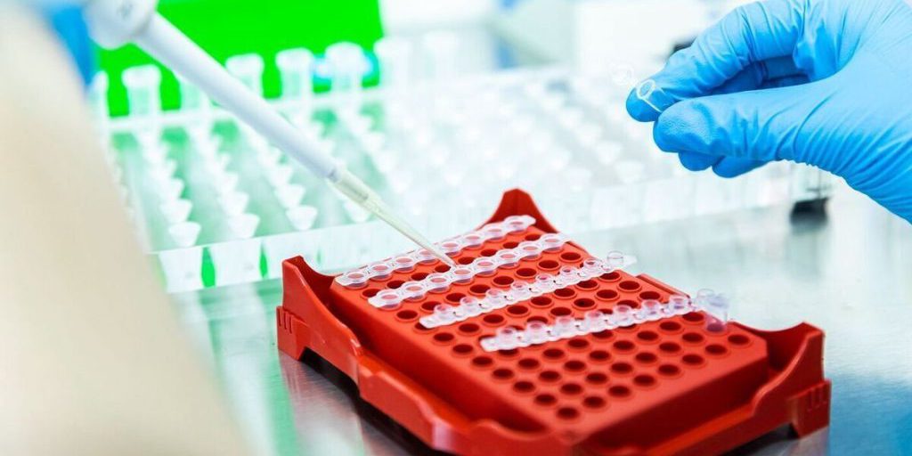 Preparativi per la semina autunnale nel Territorio di Stavropol': oltre 200 tonnellate di semi pronti per la coltivazione