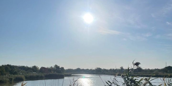 В Ростовской области зафиксирована незаконная распашка земель в пределах прибрежной территории