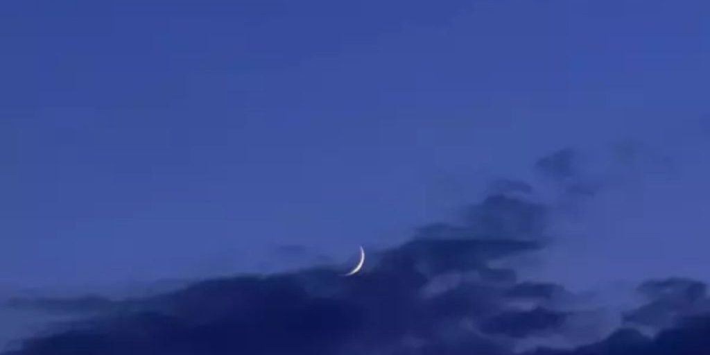 О работе ПВО заявила глава Матвеево-Курганского района Диана Алборова