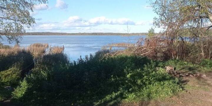 Трагедия на озере в Пустошкинском районе: утонул подводный охотник