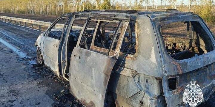 В Александро-Невском районе легковушка сгорела дотла на дороге