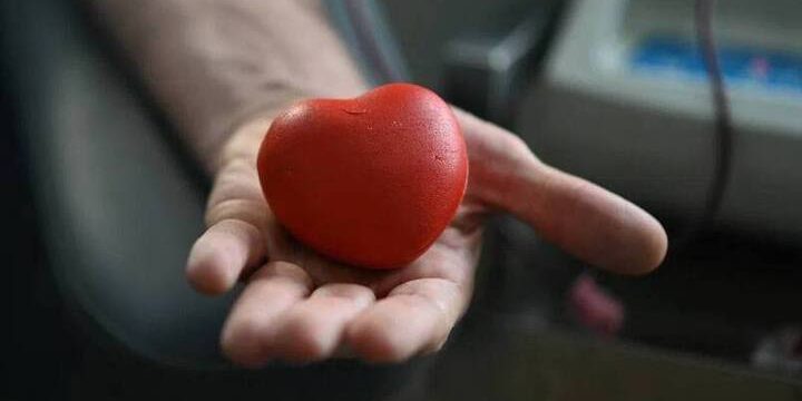 Всероссийская эстафета «Огонь жизни» для привлечения доноров костного мозга пройдет в Краснодаре