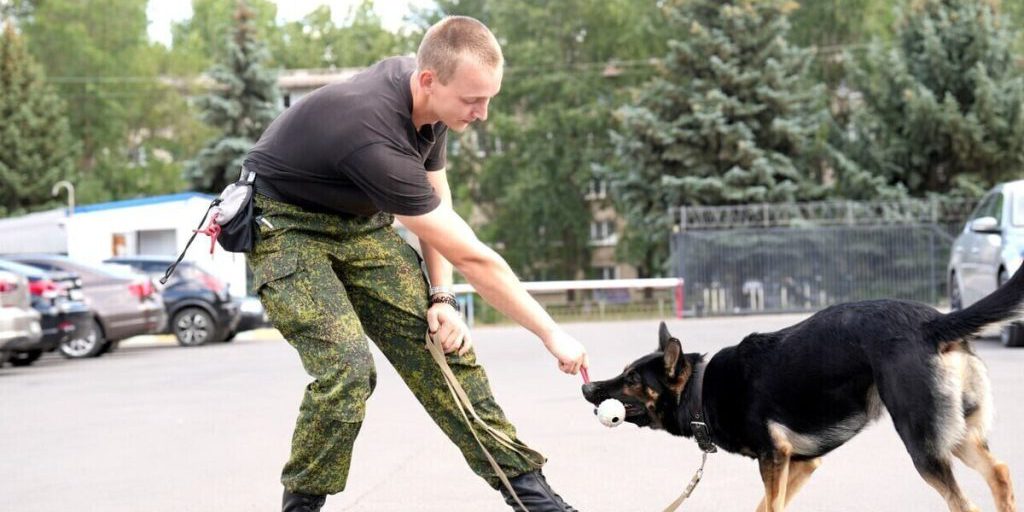 Служебные собаки Луганской таможни отправились на обучение в Москву и Майкоп