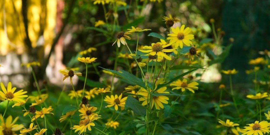 Previsioni Meteo per Astrachan del 16 settembre: una giornata soleggiata e calda in vista