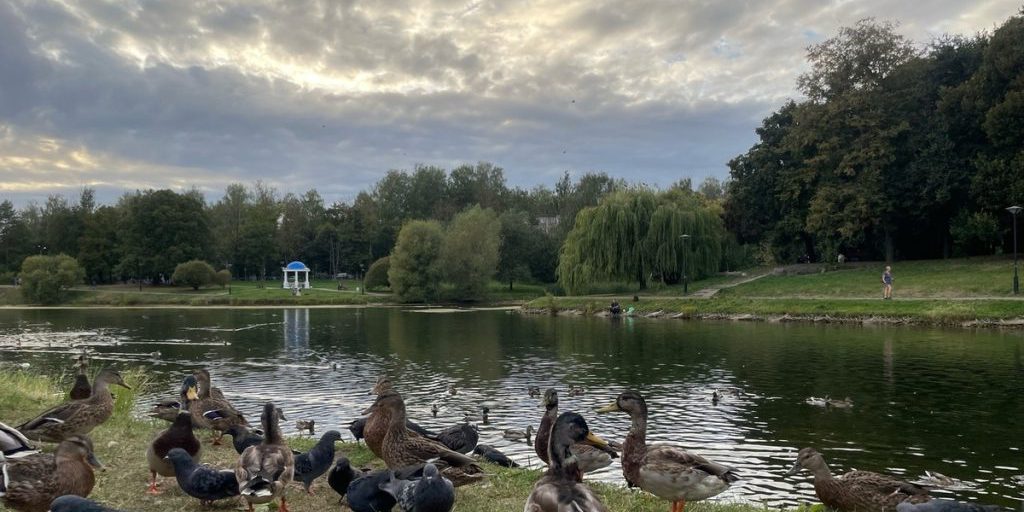 Previsioni Meteo per Smolensk il 22 settembre 2025: una giornata soleggiata e piena di opportunità