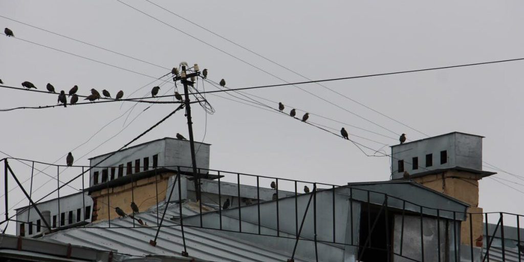 Жильцы дома в Зеленоградске попросили срочно отремонтировать крышу до нового ливня