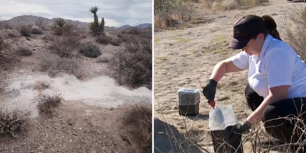 Scoperta agghiacciante nel deserto di Las Vegas: 315 resti umani cremati trovati in un'area desertica vicino alla città