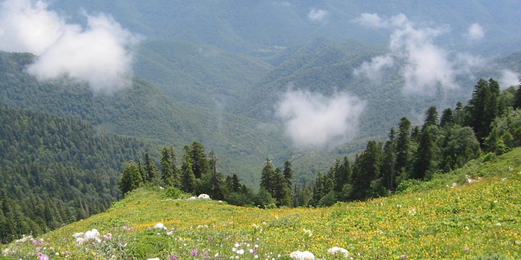 La Banca Centrale Annulla il Voto per il Design della Banconota da 500 Rubli: Reazione del Ministro Dudaev e Possibili Implicazioni per la Politica Monetaria e l'Identità Nazionale