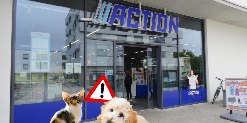 Ikea, Action &amp; Co.: Experte warnt – dieses Produkt ist für Tiere hochgefährlich