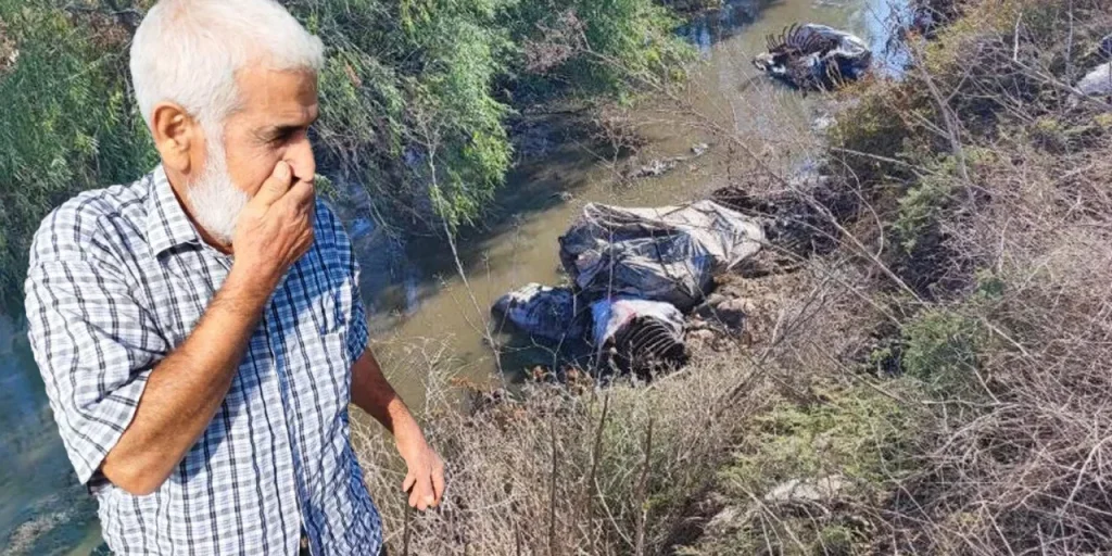 Rifiuti di cavallo e asino gettati in corso d’acqua a Adana: odore e mosche