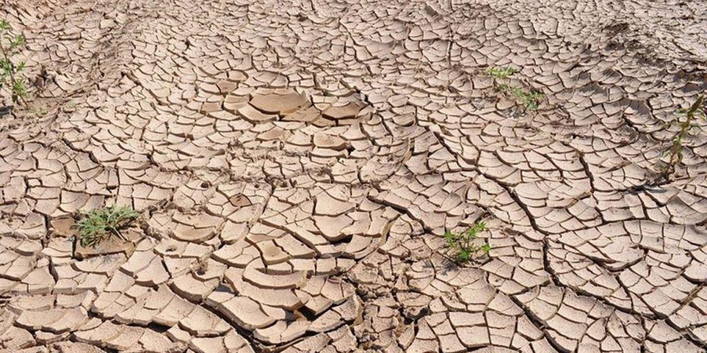 Siccità record ad Adana: l'anno più secco degli ultimi 52 anni con una riduzione del 26% delle precipitazioni