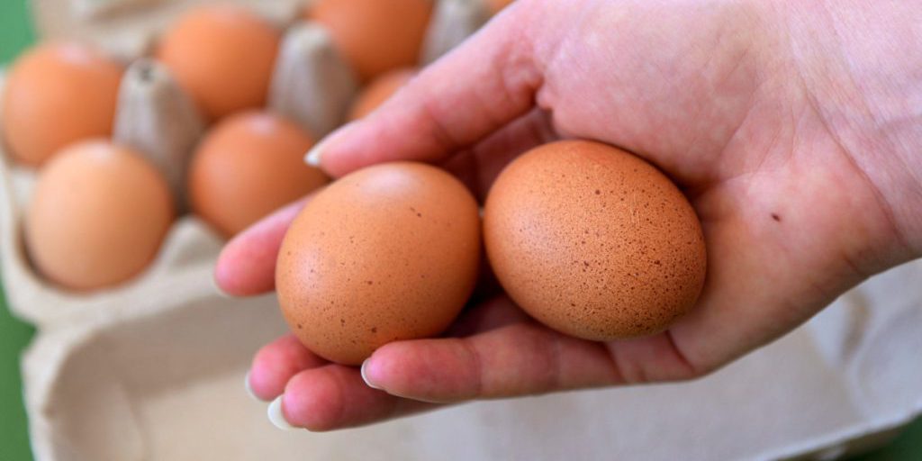 Crisi delle Uova: Carestia e Problemi di Distribuzione nei Negozi di Aldi e Edeka, le Possibili Conseguenze per l'Economia e la Disponibilità di Prodotti Alimentari