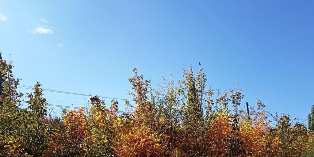 Сила магнитной бури 23 сентября составит 3 балла: неподходящий период для любых начинаний