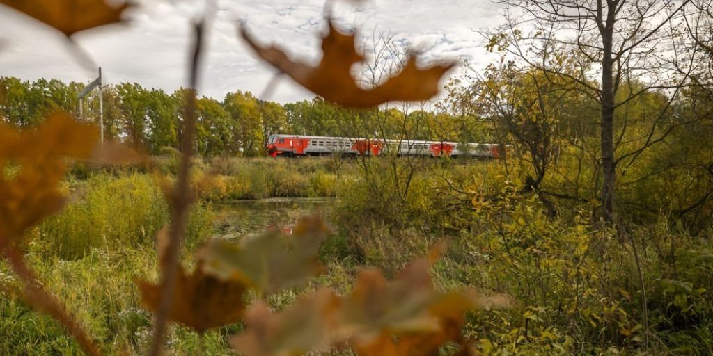 11,5 milioni di persone trasportate dai treni suburbani nella regione di Nizhny Novgorod: un'analisi dei dati e delle possibili conseguenze per l'economia e la qualità della vita dei residenti