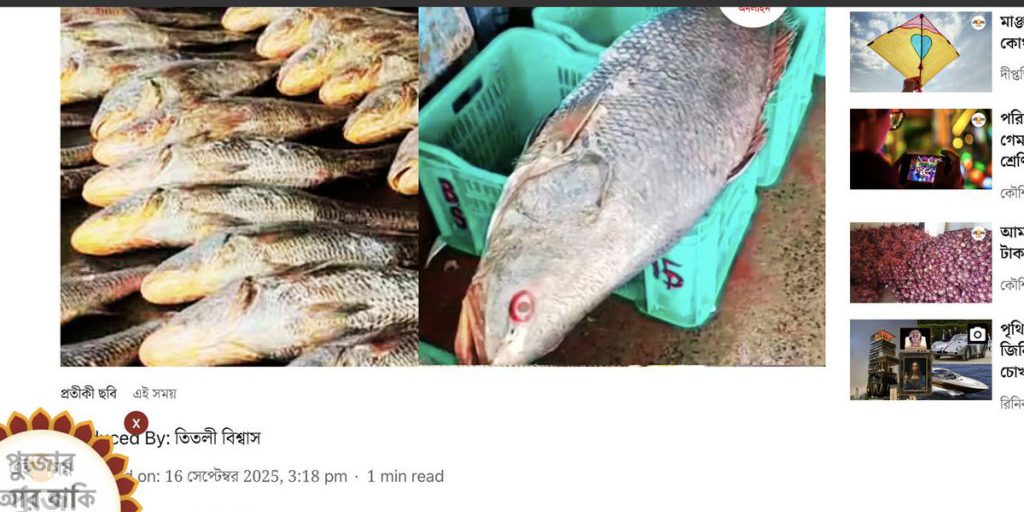 Редкий пятнистый горбыль принес индийским рыбакам кучу денег за три дня