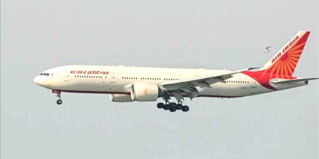 Autorità canadese apre indagine su pilota di Air India che ha bevuto alcol prima del decollo