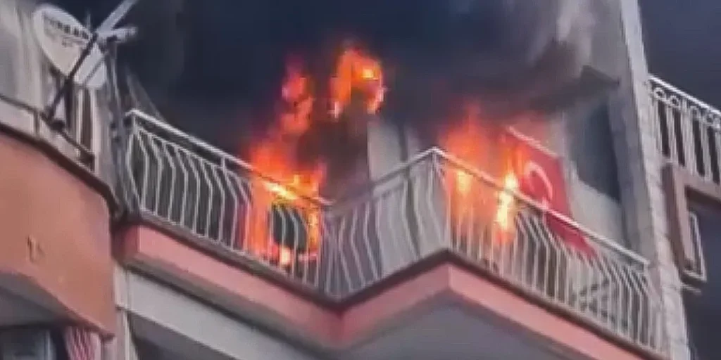 Incendio in rifugio per gatti causa morte di sei animali