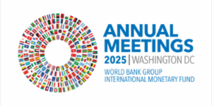 Il FMI e le sue Riserve d'Oro: una Possibilità per Sostenere i Paesi in Via di Sviluppo