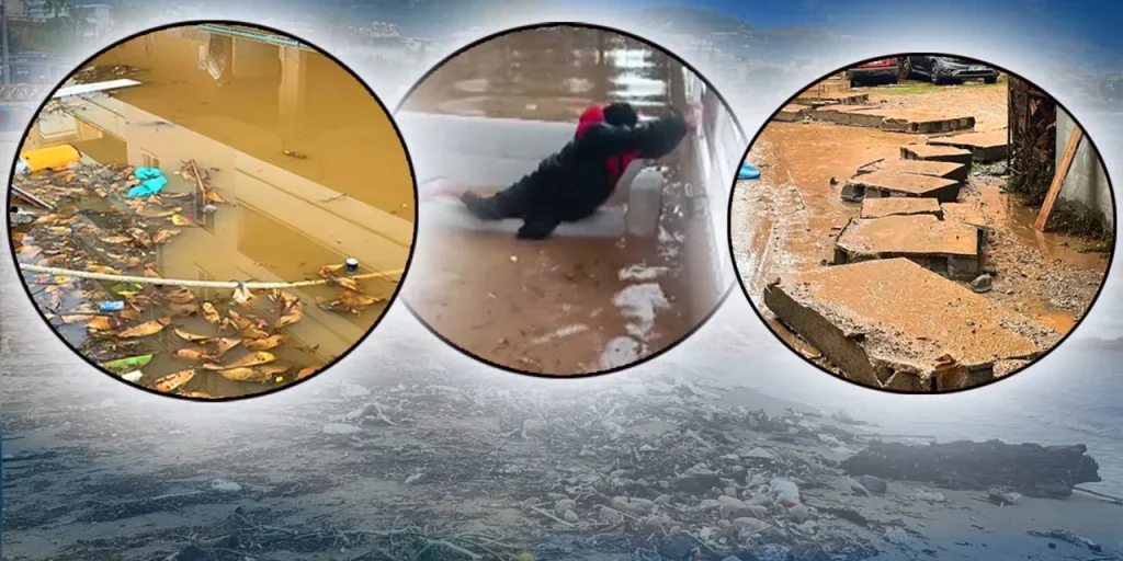 Richiesta di testo originale per la riscrittura dell'articolo