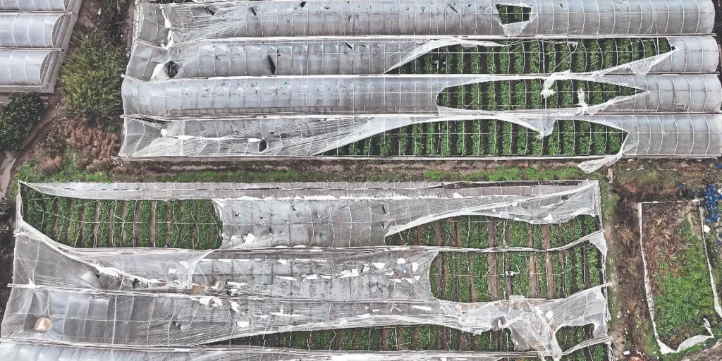 Tornado in Antalya e Muğla: danni alle coltivazioni e allagamenti