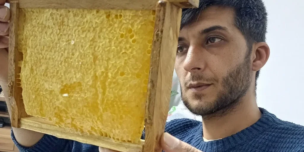 Miele naturale e biologico di Araban: produzione annua e prezzo al chilogrammo