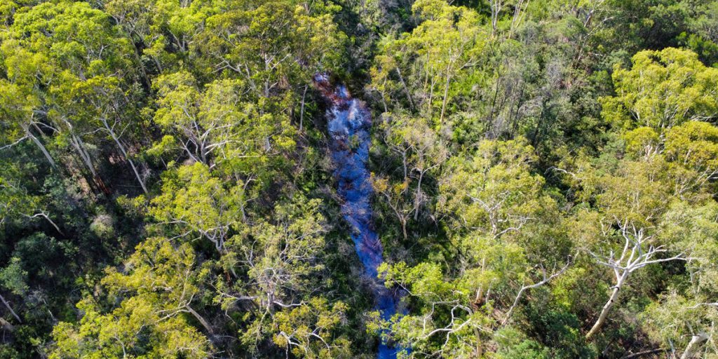 Rinuncia all'ultimo minuto nel Dschungelcamp: cosa significa per la serie di successo